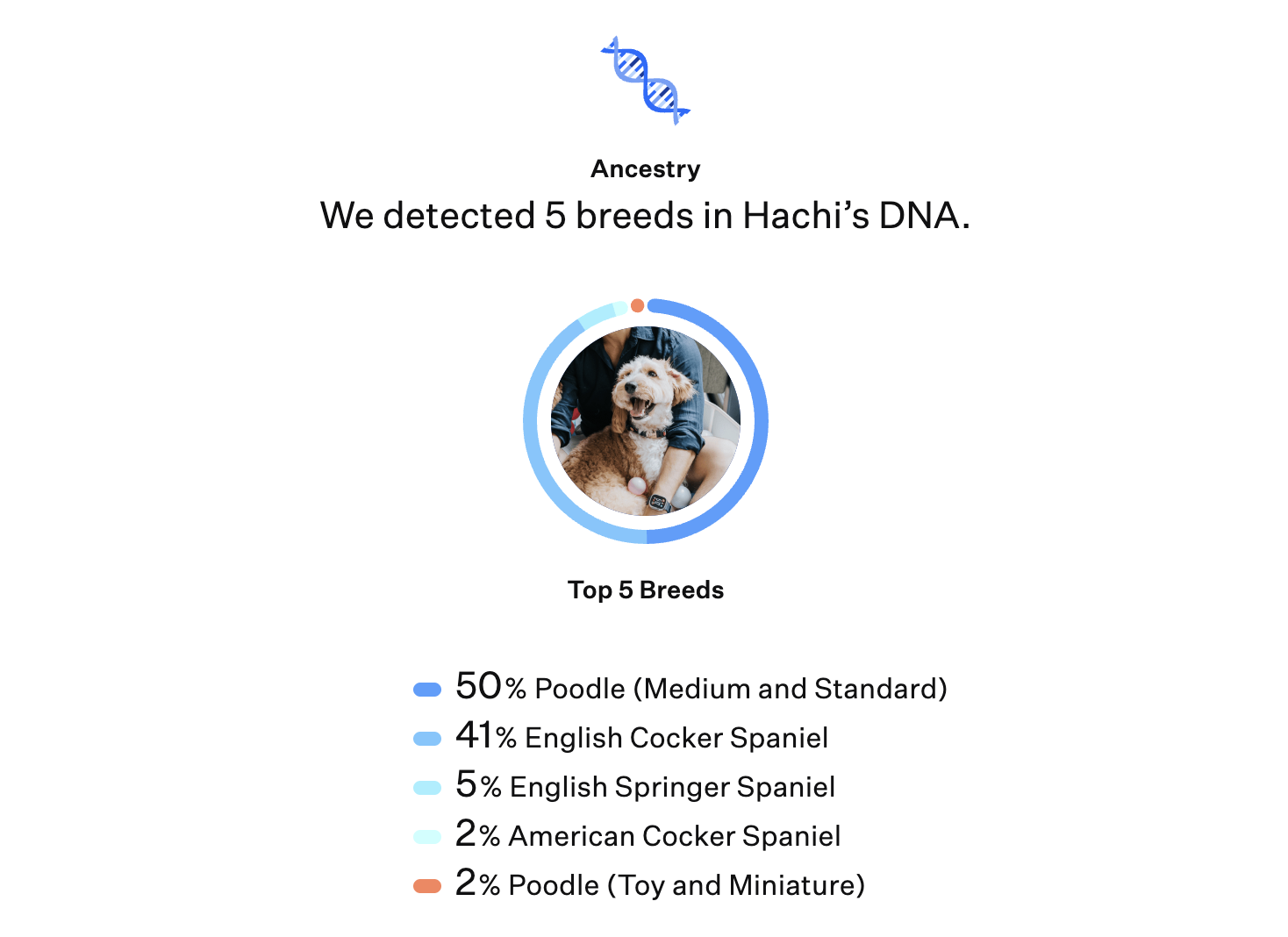 goldendoodle dna